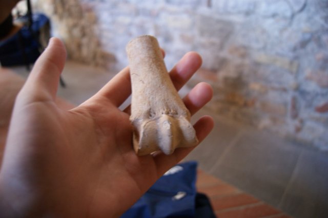 Dallo scavo al museo - Pon Archeologia